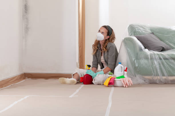 Reliable Black Mold Removal contractor in Altamonte Springs, FL by WQB Mold Removal